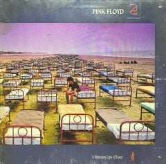 Pink Floyd A Momentary Lapse Of Reason LP Plak