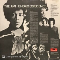 Jimi Hendrix Are You Experienced LP Plak