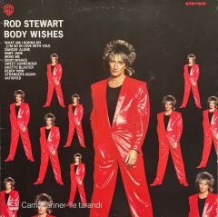 Rod Stewart Body Wishes LP Plak