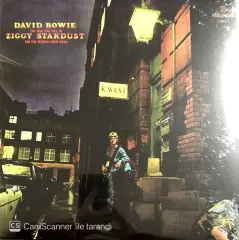 David Bowie The Rise and Fall of Ziggy Stardust and the Spiders From Mars LP Plak