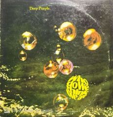 Deep Purple Who Do We Think We Are LP Plak