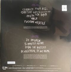 Pantera History Of Hostility (Limited Silver Vinyl edition) LP Plak