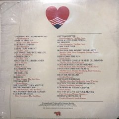 Sgt. Pepper's Lonely Hearts Club Band Soundtrack Çift LP Plak