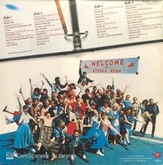 Grease Soundtrack Çift LP Plak