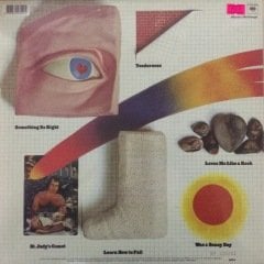 Paul Simon There Goes Rhymin'Simon Yeni Baskı Plak LP