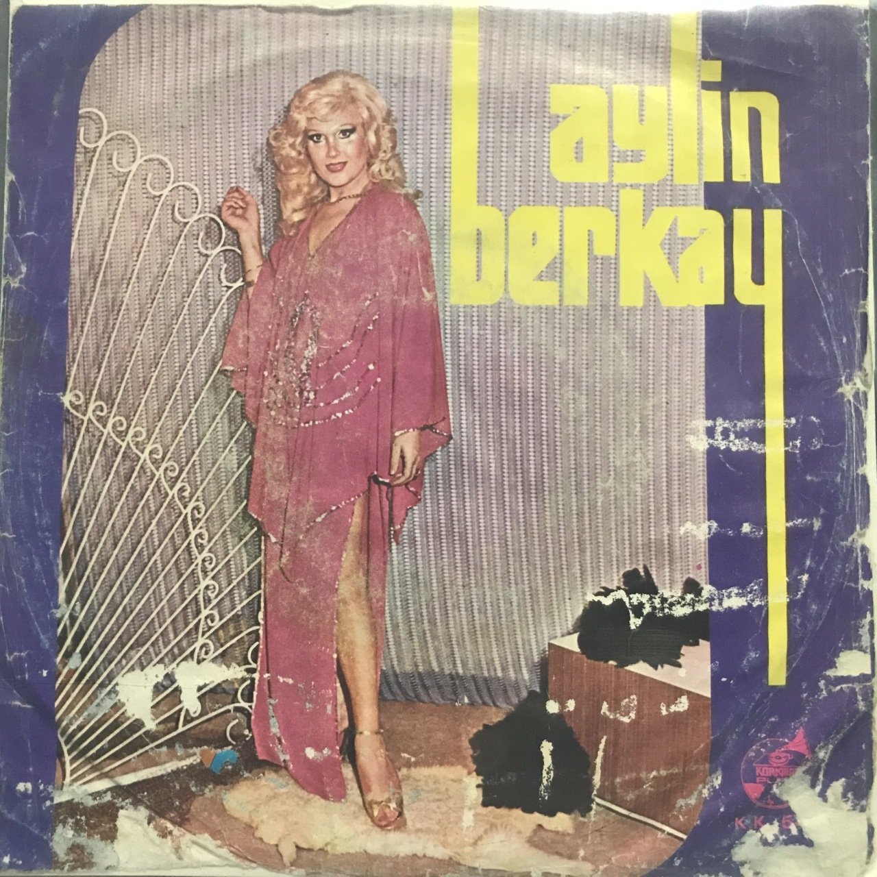 Aylin Berkay Ben Küskünüm Feleğe 45lik Plak