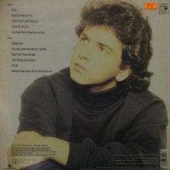 Glenn Medeiros Not Me LP Plak
