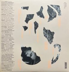 Mitski The Land is Inhospitable and So Are We (Turkuaz Renkli Plak) LP Plak