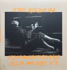 Mitski The Land is Inhospitable and So Are We (Turkuaz Renkli Plak) LP Plak