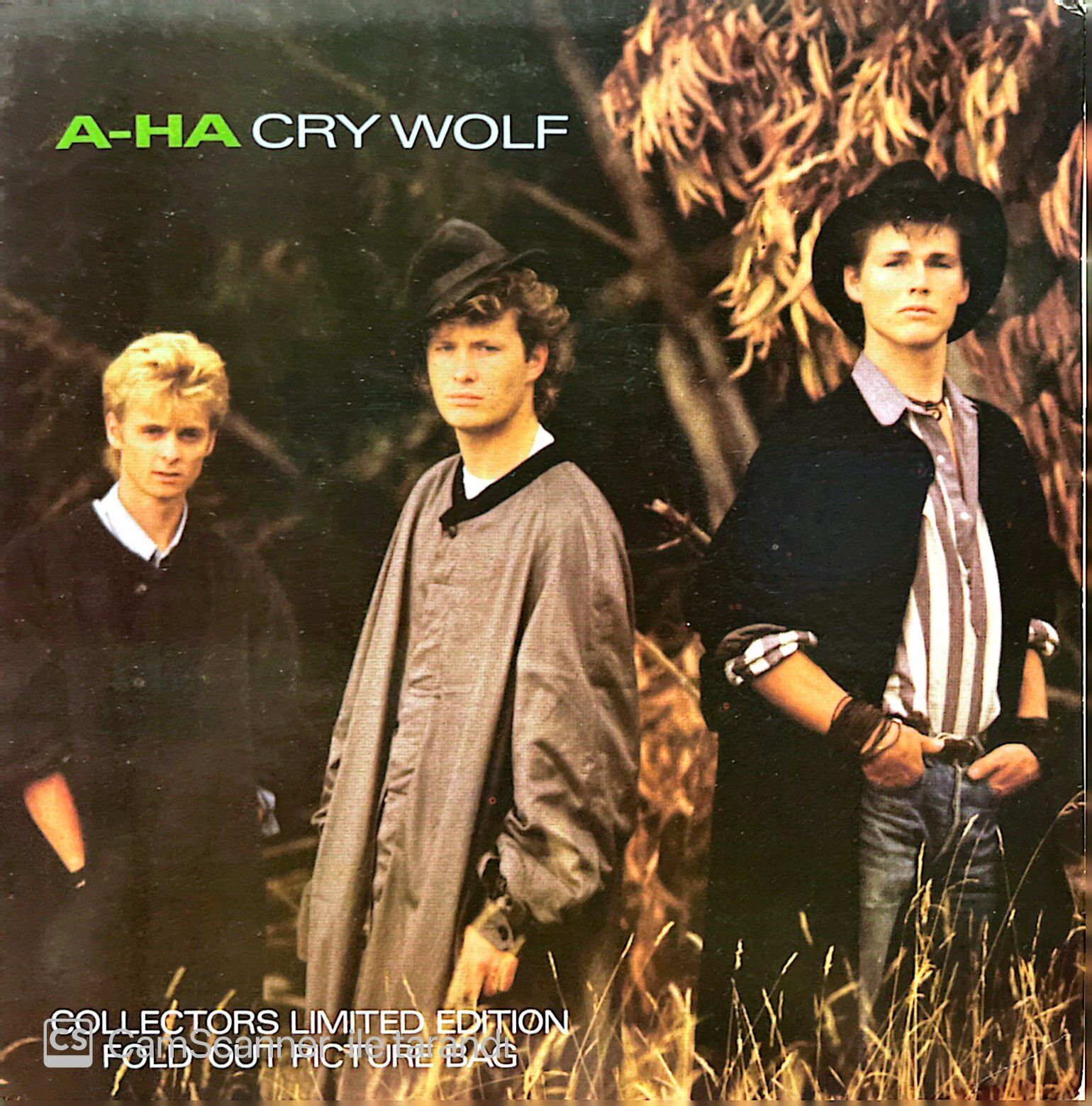 A-Ha Cry Wolf 45lik Plak