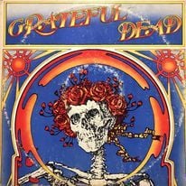 Grateful Dead LP Plak