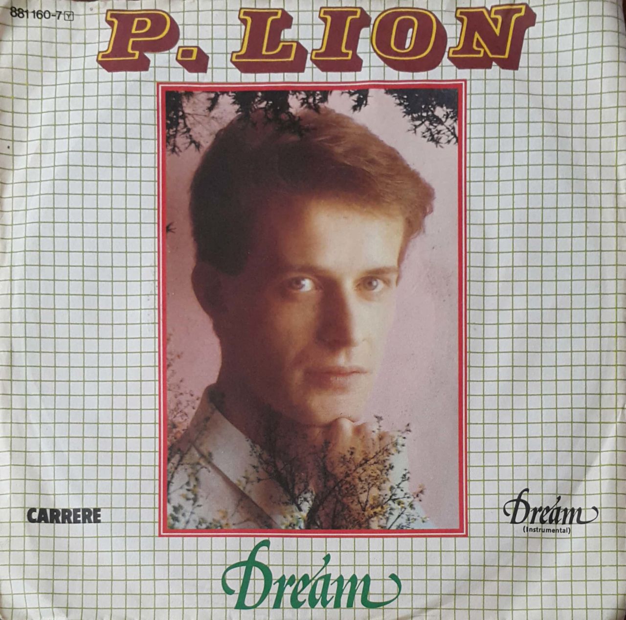 P.Lion Dream 45lik Plak