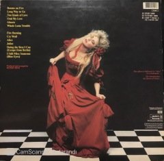 Stevie Nicks The Other Side Of The Mirror LP Plak