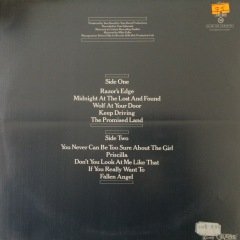 Meat Loaf Midnight At The Lost And Found LP Plak