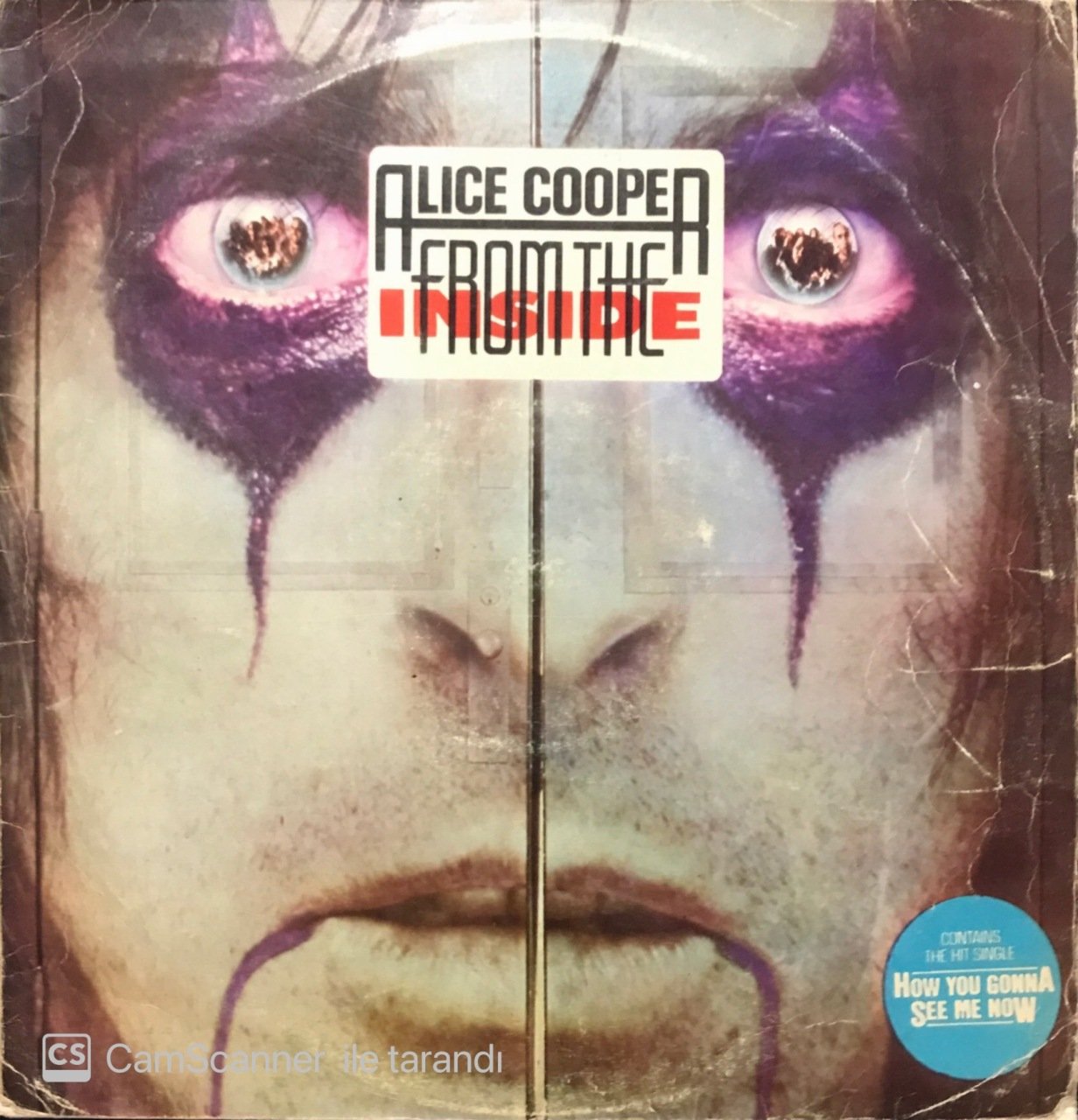 Alice Cooper From The Inside LP Plak