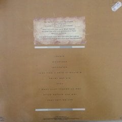 Sinead O'Connor The Lion And The Cobra LP Plak