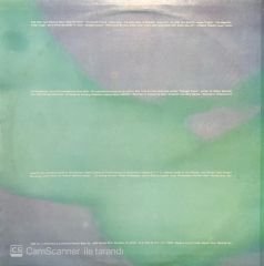 The Mystic Moods Erogenous LP Plak