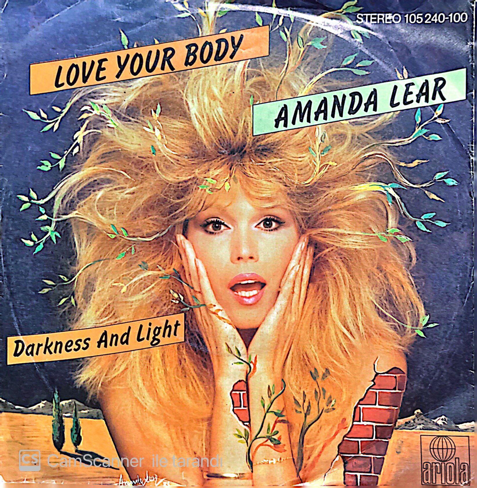 Amanda Lear Love Your Body 45lik Plak
