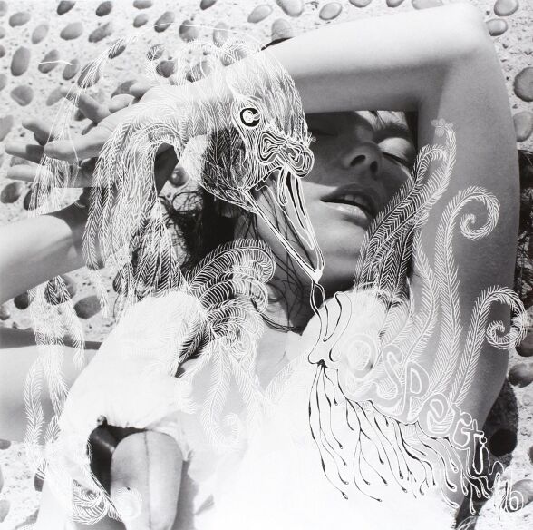 Bjork Vespertine Double LP Plak