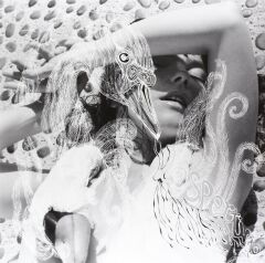 Bjork Vespertine Double LP Plak