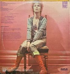 David Bowie Space Oddity LP Plak
