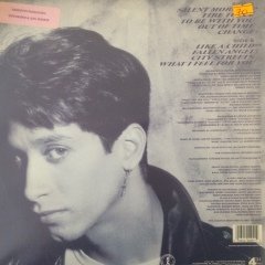 Noel Noel LP Plak