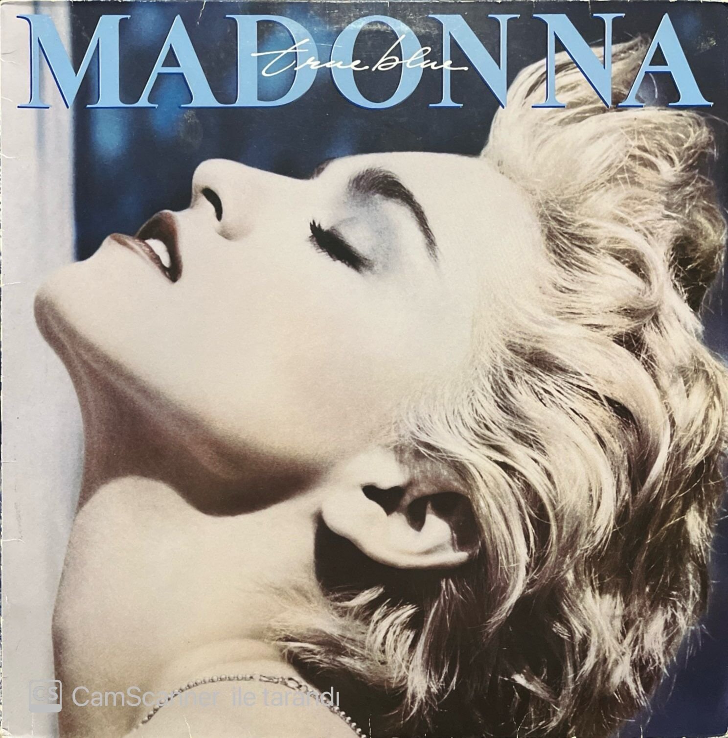 Madonna True Blue LP Plak