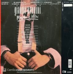 Gianna Nannini Maschi e Altri LP Plak