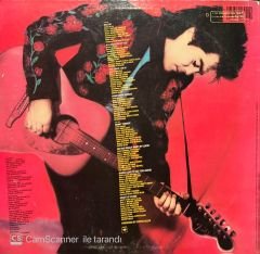 Marty Stuart LP Plak