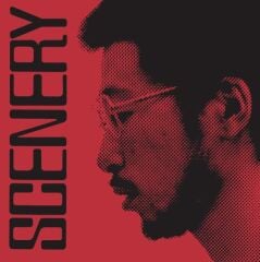 Ryo Fukui Scenery LP Plak