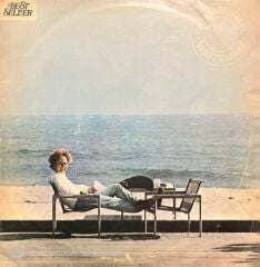 Art Garfunkel Watermak LP Plak
