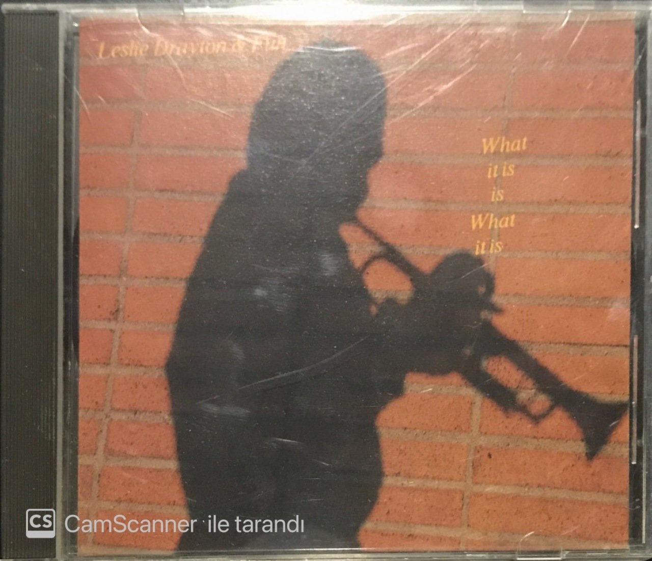 Leslie Drayton And Fun What It Is Is What It Is CD