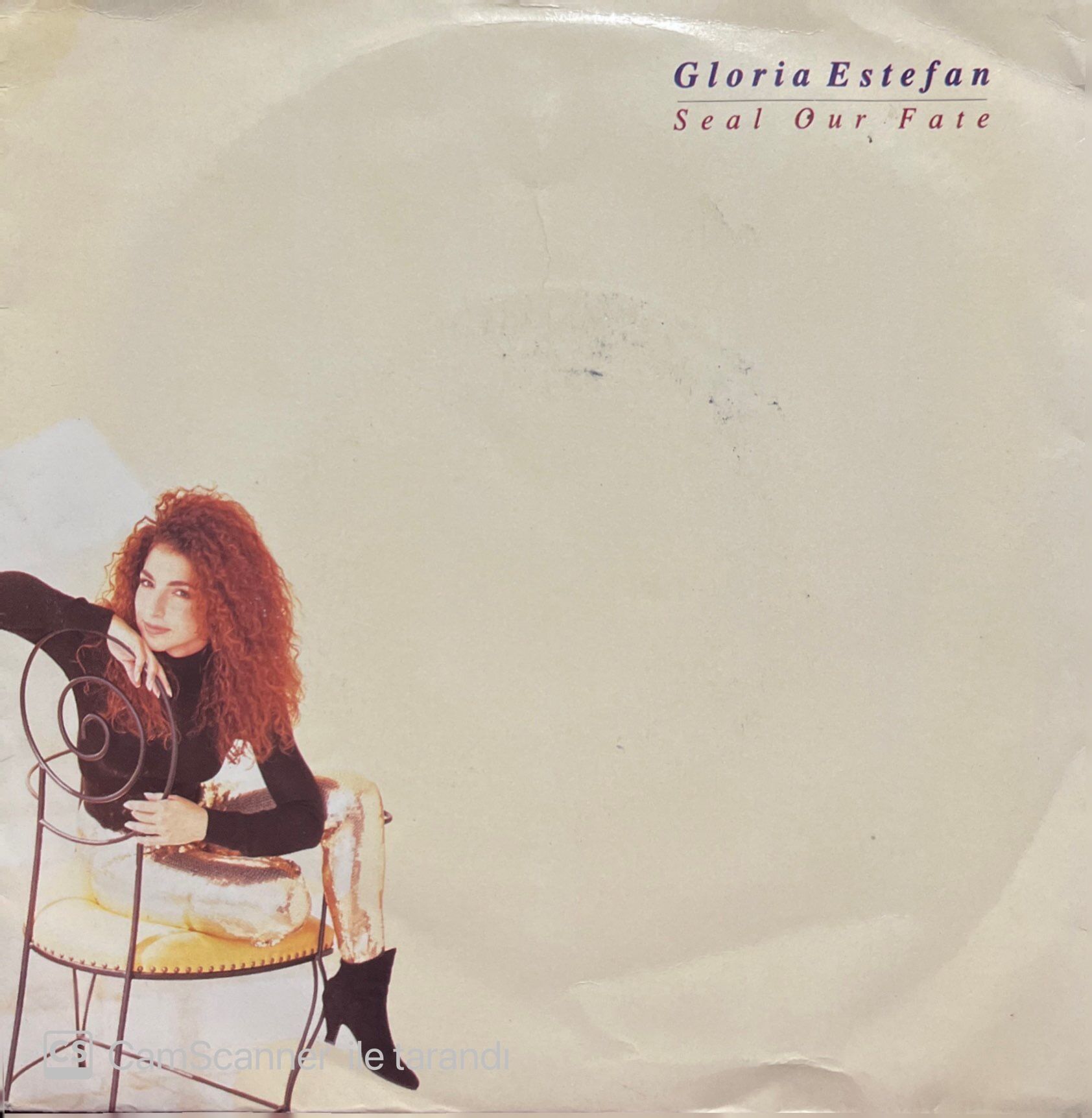 Gloria Estefan Seal Our Fate 45lik Plak