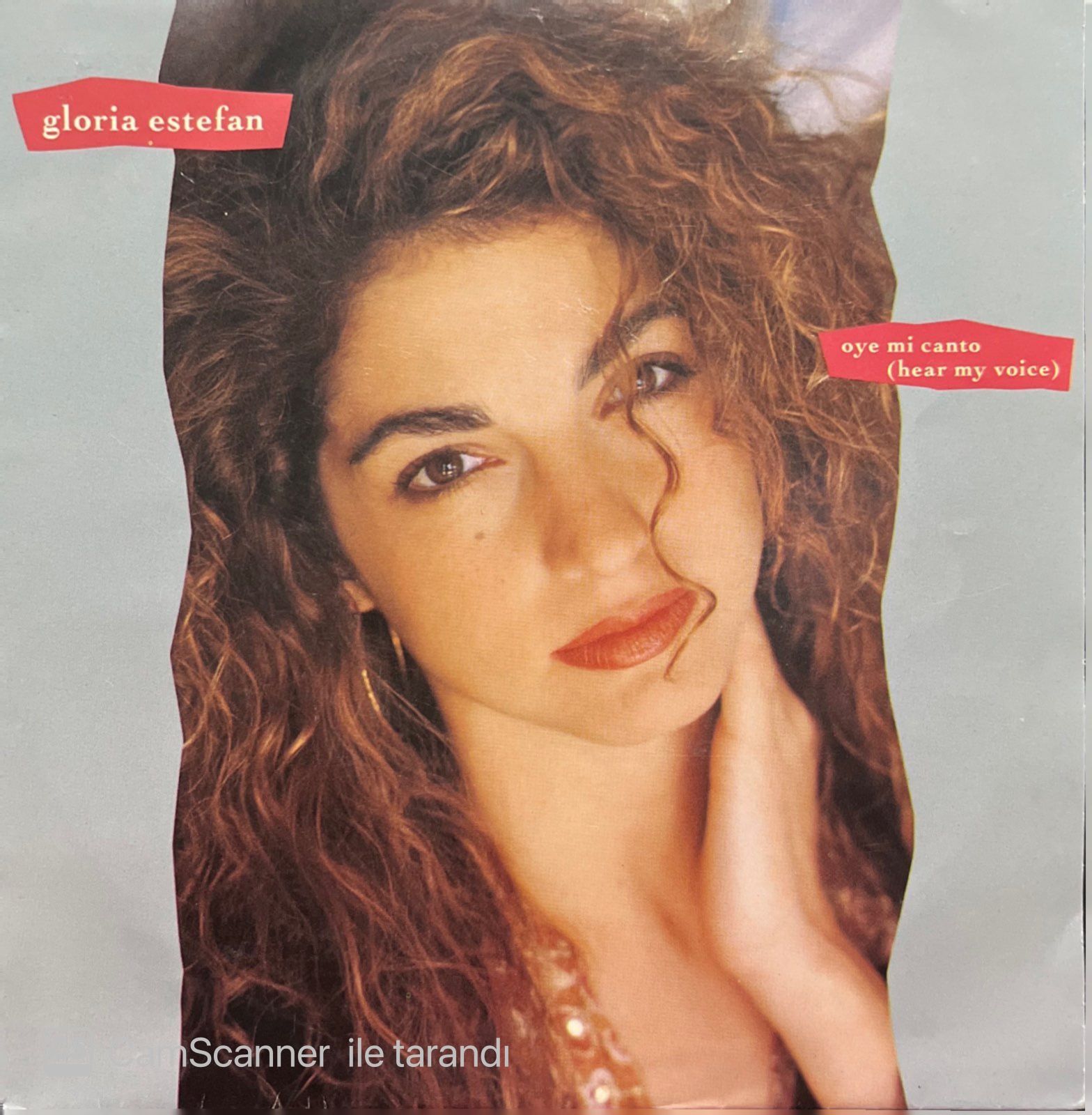 Gloria Estefan Oye Mi Canto 45lik Plak