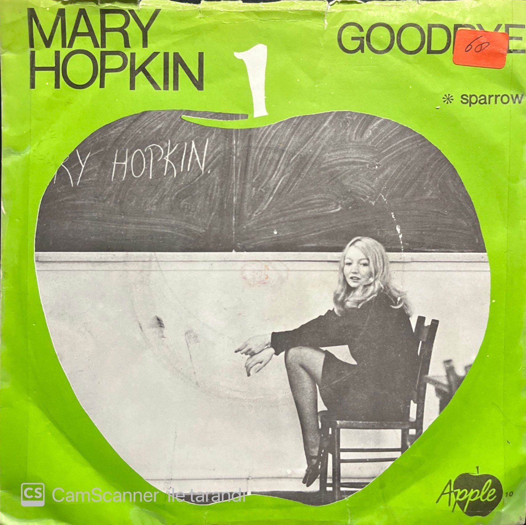 Mary Hopkin Goodbye 45lik Plak