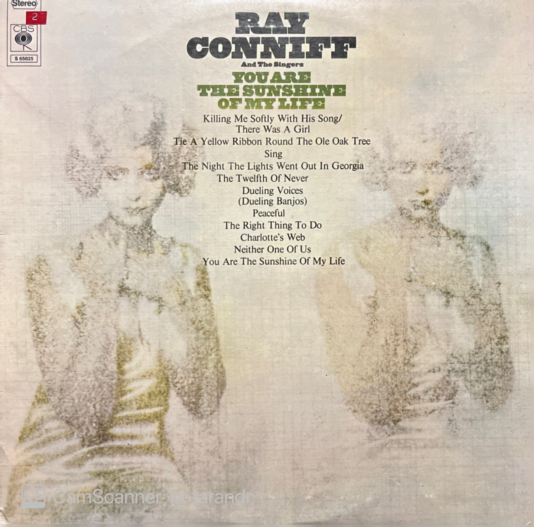 Ray Conniff And The Singers You Are The Sunshine Of My Life LP Plak
