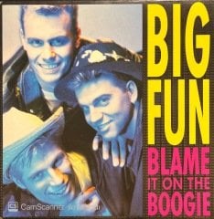 Big Fun Blame In To The Boogie 45lik Plak