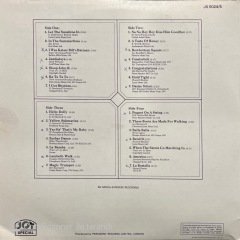 Happyment 28 Party Hits Double LP Plak