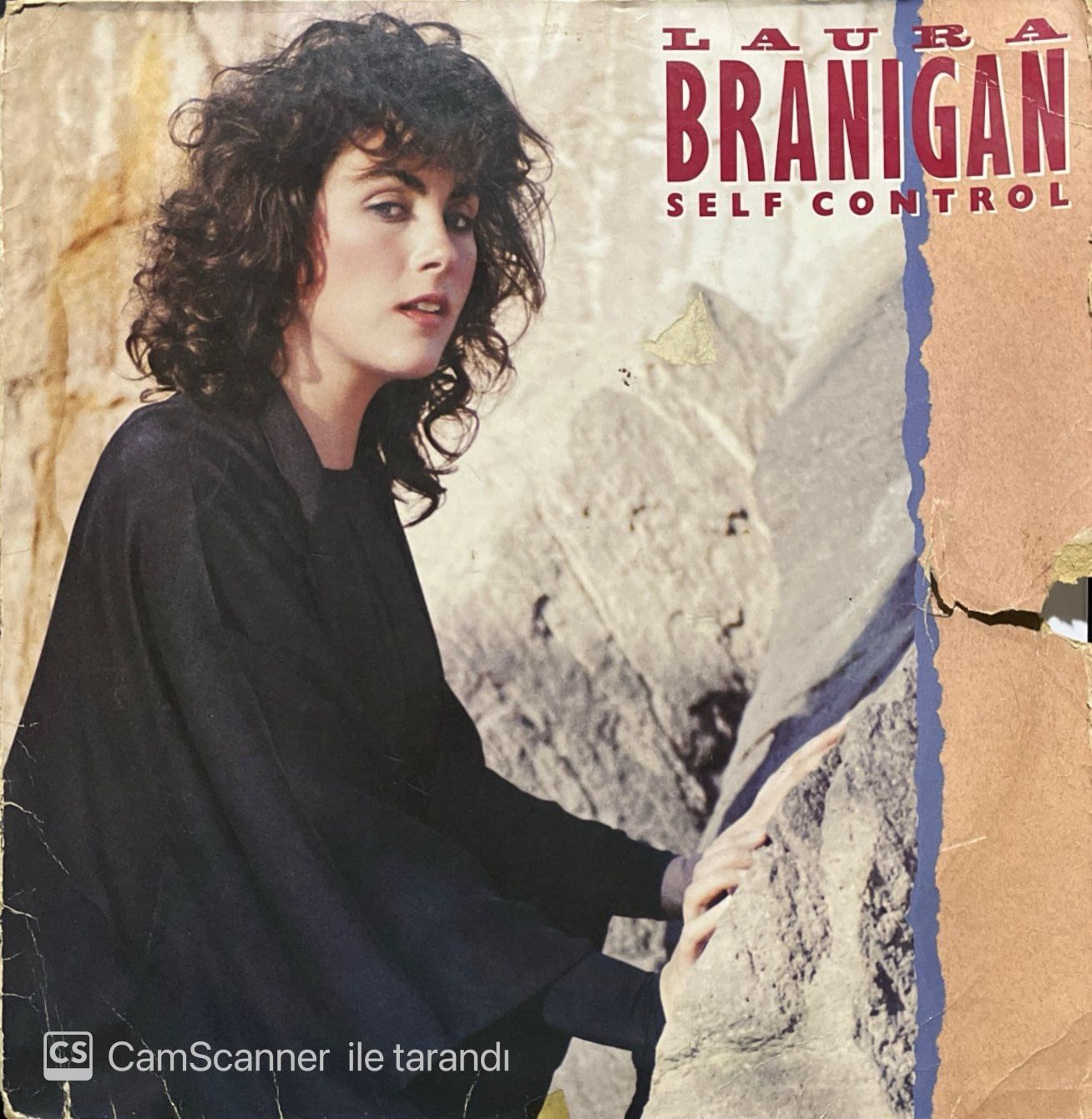 Laura Branigan Self Control LP Plak