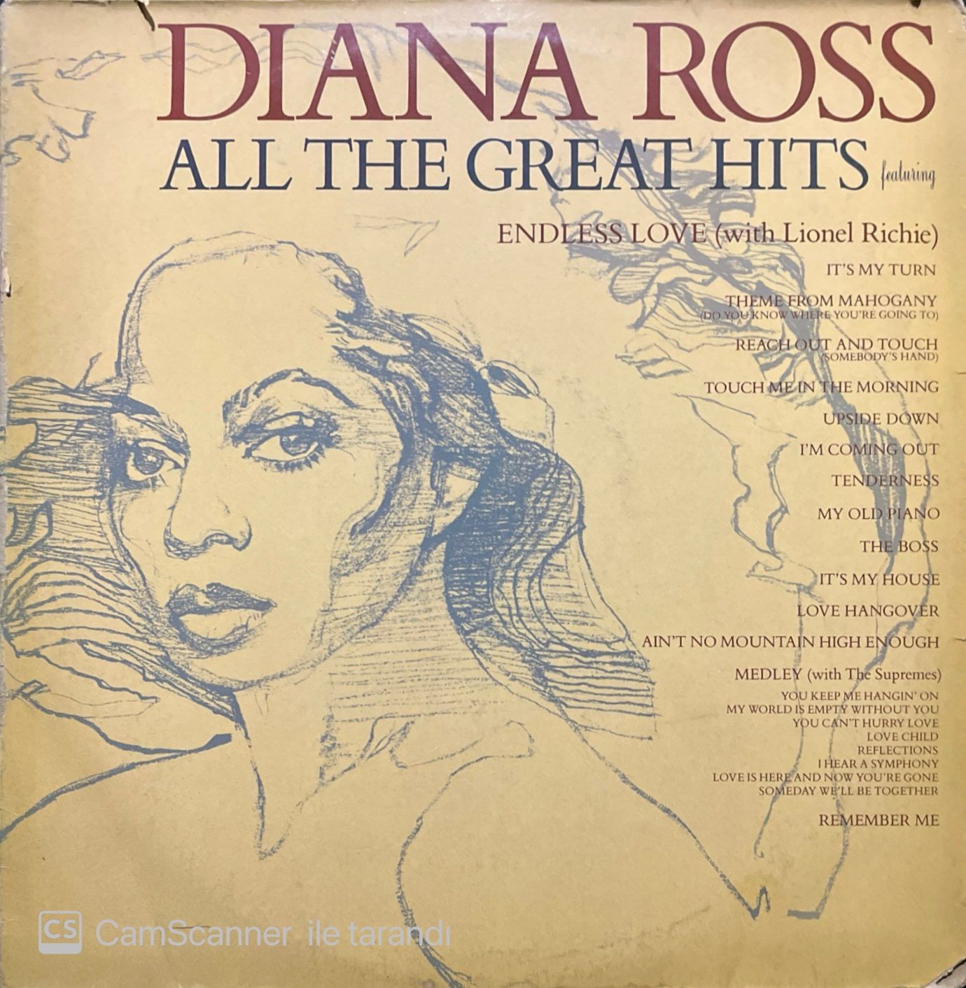 Diana Ross All The Greatest Hits Double LP Plak