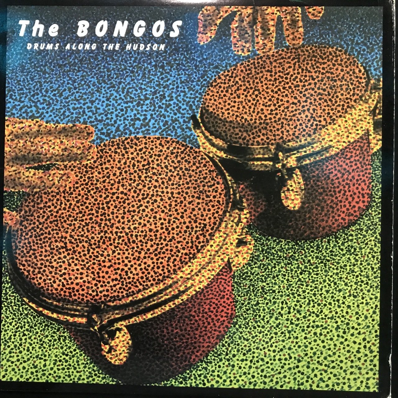 The Bongos Drums Along The Hudson LP Plak