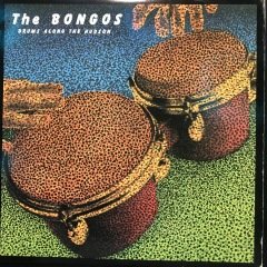 The Bongos Drums Along The Hudson LP Plak