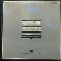 Kim Karnes Voyeur LP Plak