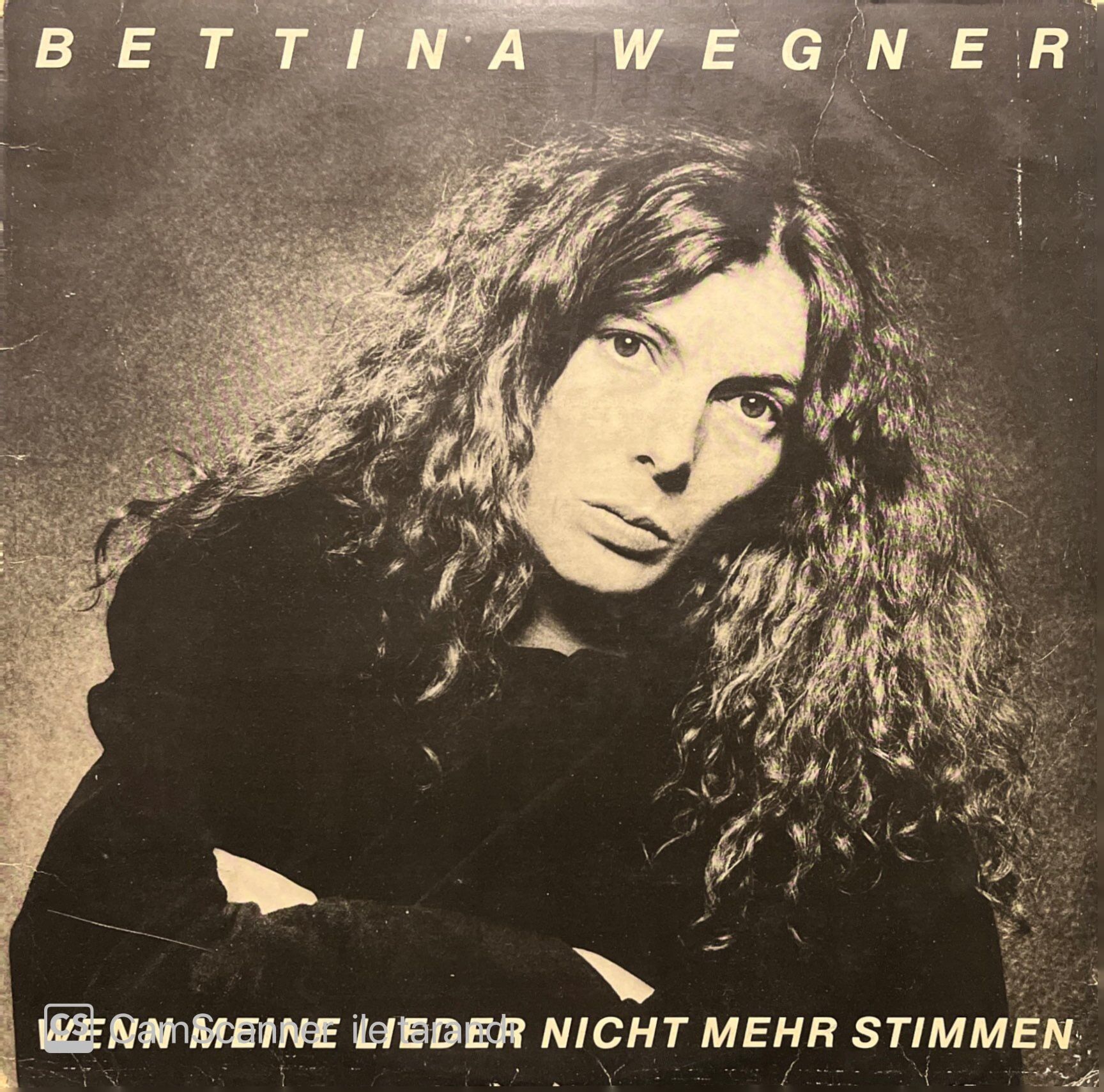 Bettina Wegner Wenn Meine Lieder Nicht Mehr Stimmen LP Plak