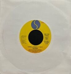 Madonna Express Yourself 45lik Plak