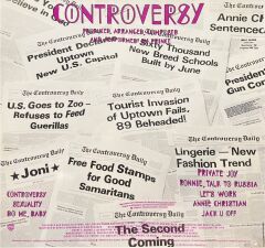 Prince Controversy LP Plak