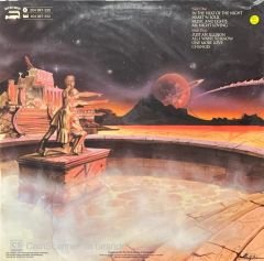 Imagination In The Heat Of The Night LP Plak