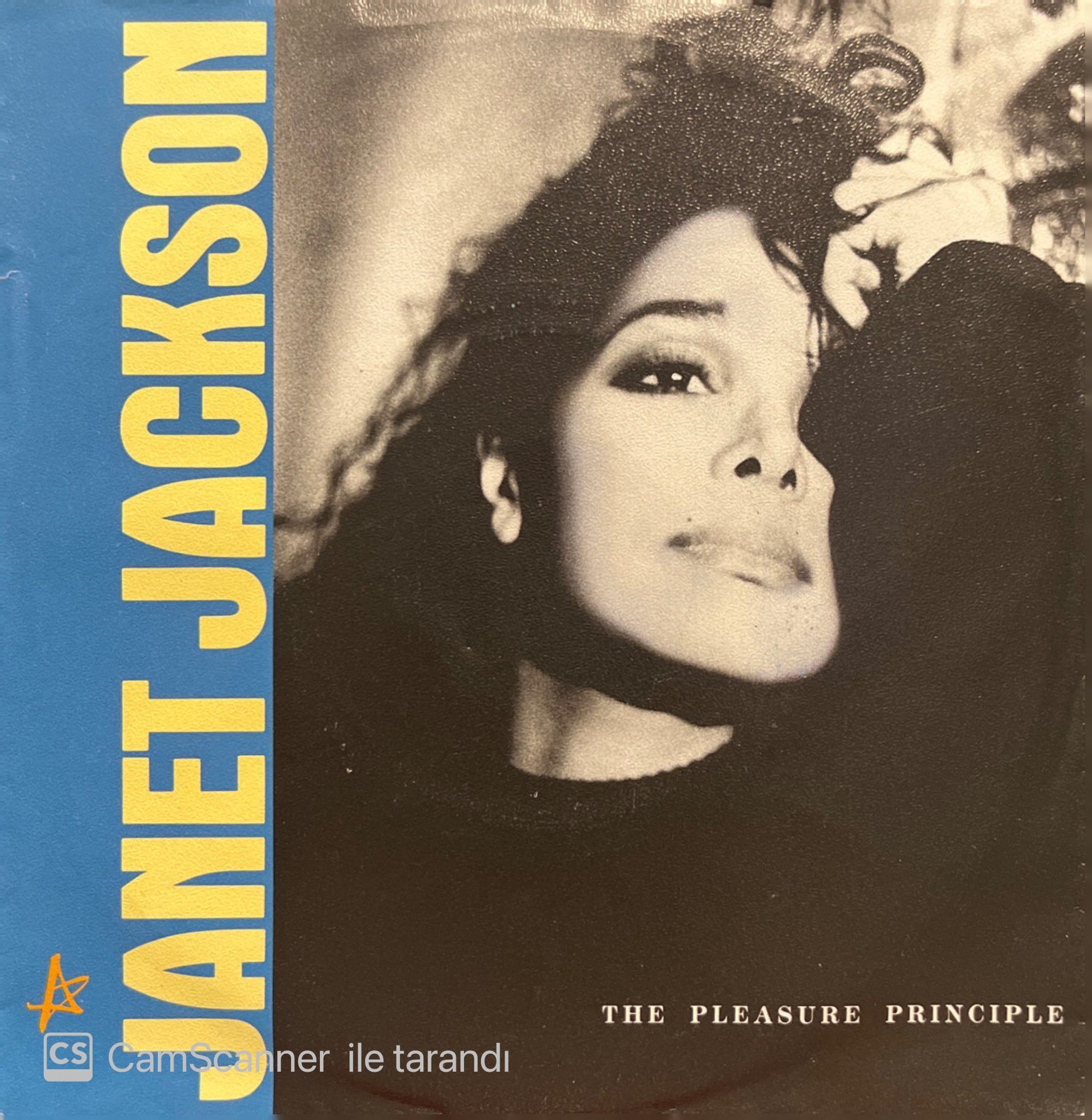 Janet Jackson The Pleasure Principle 45lik Plak