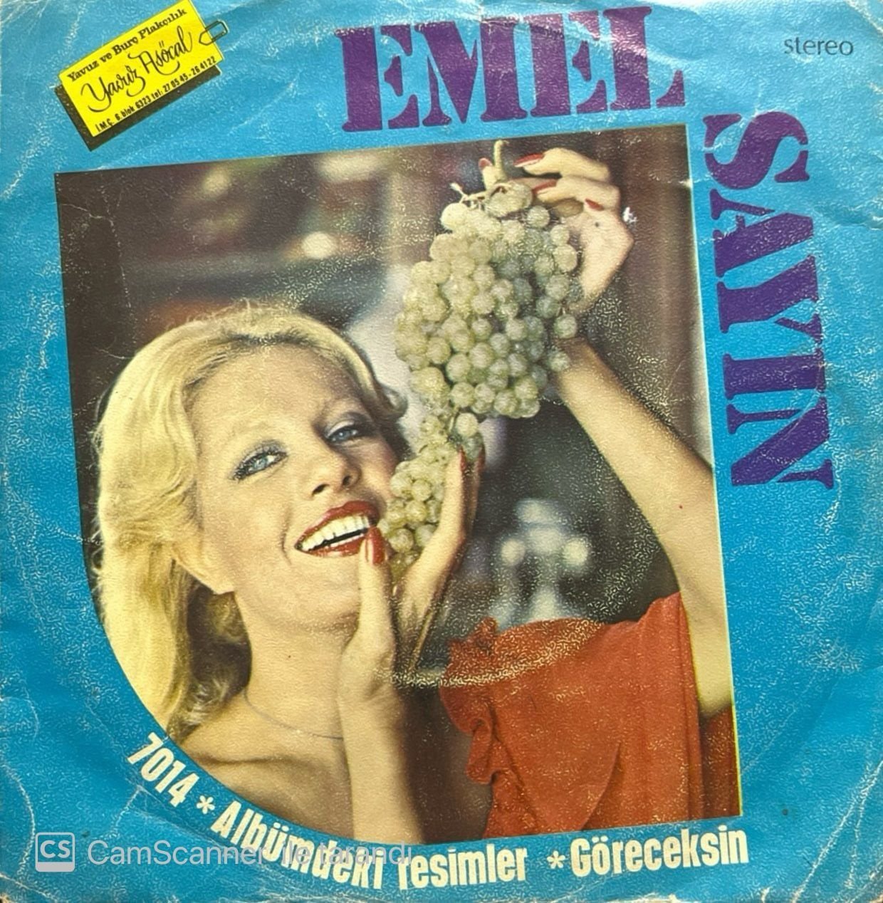 Emel Sayın Albümdeki Resimler 45lik Plak