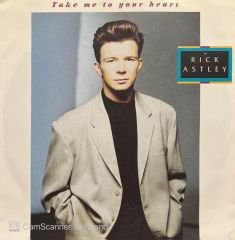 Rick Astley Take Me To Your Heart 45lik Plak